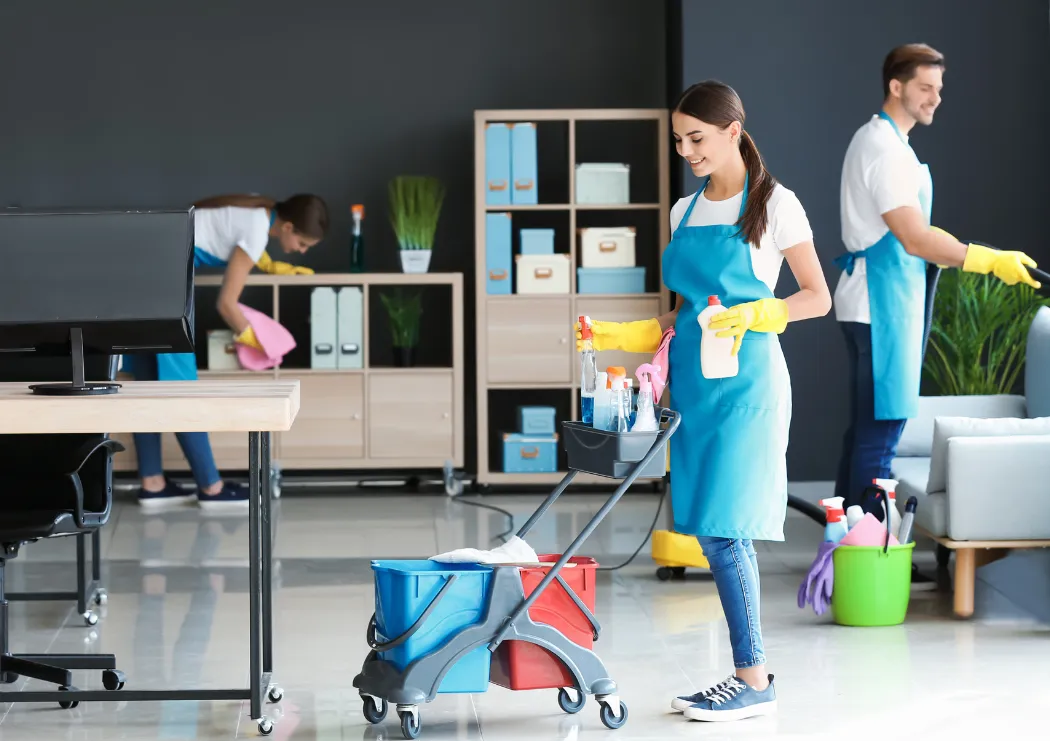 Kitchen Of Cleaning