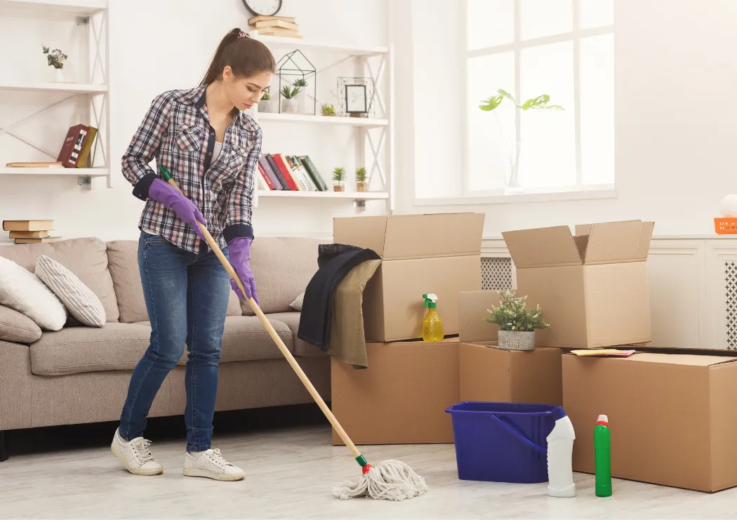 Office Of Cleaning